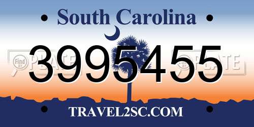 3995455 South Carolina License Plate