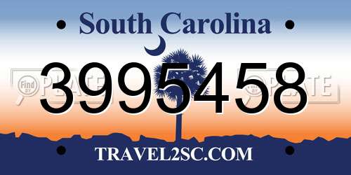 3995458 South Carolina License Plate
