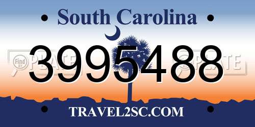 3995488 South Carolina License Plate