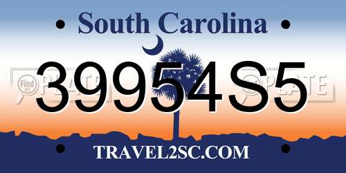 39954S5 South Carolina License Plate