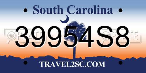 39954S8 South Carolina License Plate