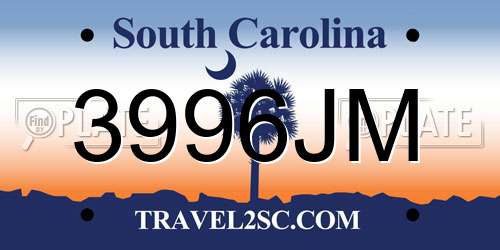 3996JM South Carolina License Plate