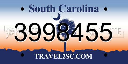 3998455 South Carolina License Plate