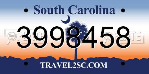 3998458 South Carolina License Plate