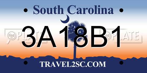 3A18B1 South Carolina License Plate