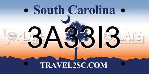 3A33I3 South Carolina License Plate