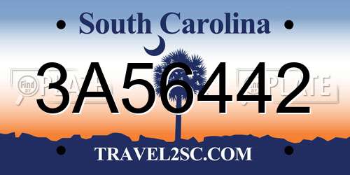 3A56442 South Carolina License Plate