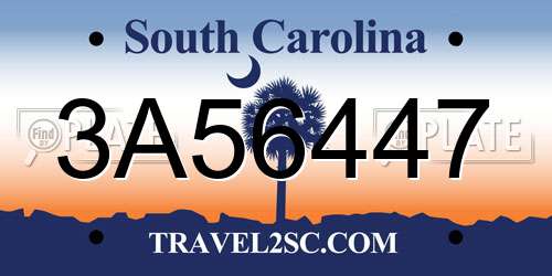 3A56447 South Carolina License Plate