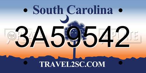 3A59542 South Carolina License Plate
