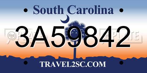 3A59842 South Carolina License Plate