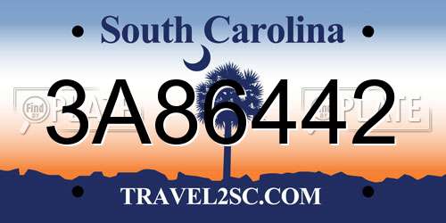 3A86442 South Carolina License Plate