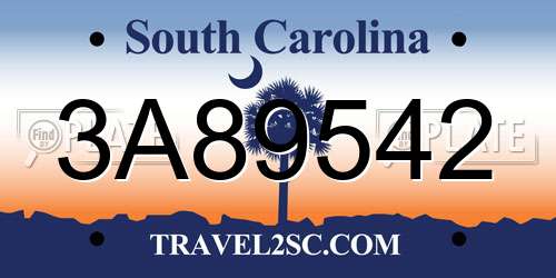 3A89542 South Carolina License Plate