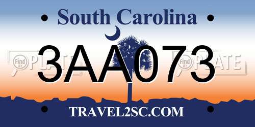 3AA073 South Carolina License Plate