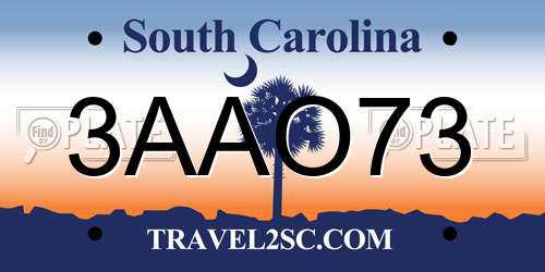 3AAO73 South Carolina License Plate