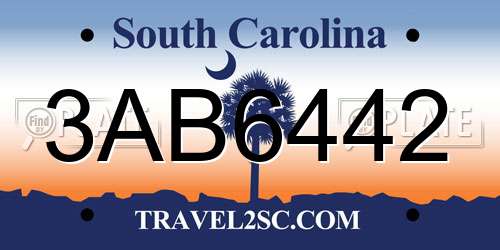 3AB6442 South Carolina License Plate