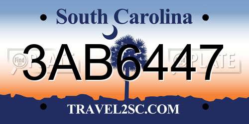 3AB6447 South Carolina License Plate