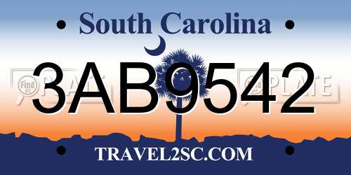 3AB9542 South Carolina License Plate