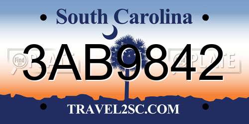 3AB9842 South Carolina License Plate