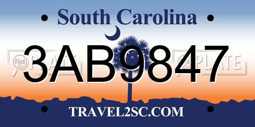 3AB9847 South Carolina License Plate