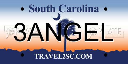 3ANGEL South Carolina License Plate