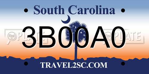 3B00A0 South Carolina License Plate