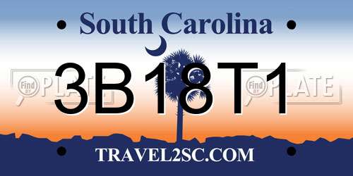 3B18T1 South Carolina License Plate