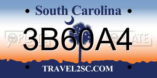 3B60A4 South Carolina License Plate