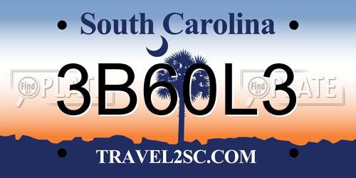 3B60L3 South Carolina License Plate