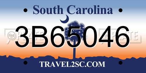 3B65046 South Carolina License Plate