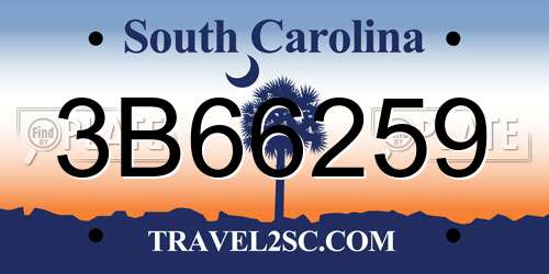 3B66259 South Carolina License Plate
