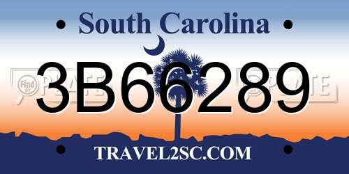 3B66289 South Carolina License Plate