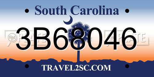 3B68046 South Carolina License Plate