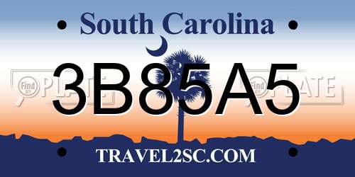 3B85A5 South Carolina License Plate