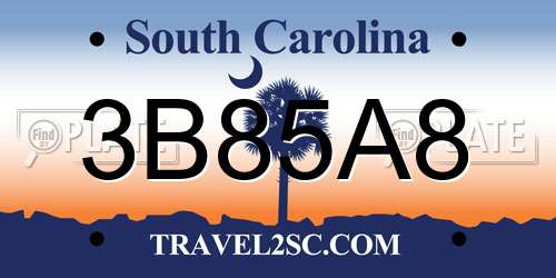 3B85A8 South Carolina License Plate