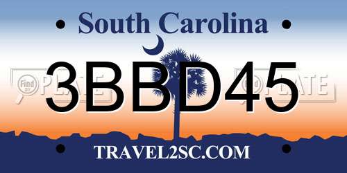 3BBD45 South Carolina License Plate