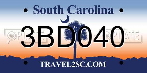3BD040 South Carolina License Plate