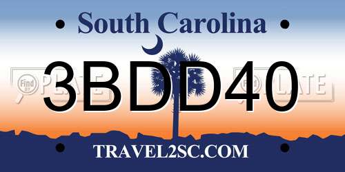 3BDD40 South Carolina License Plate