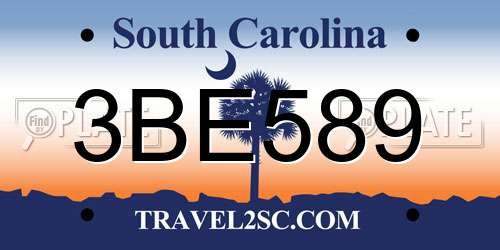 3BE589 South Carolina License Plate