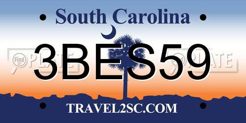 3BES59 South Carolina License Plate