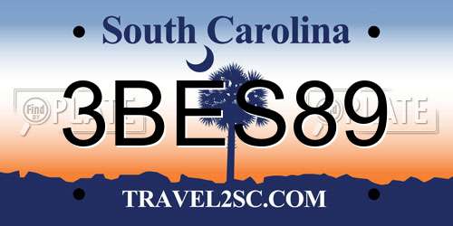 3BES89 South Carolina License Plate