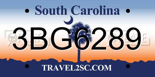 3BG6289 South Carolina License Plate