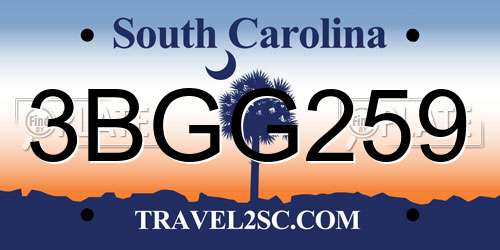 3BGG259 South Carolina License Plate