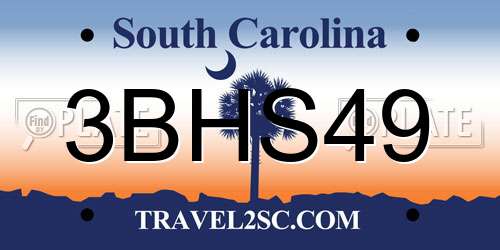 3BHS49 South Carolina License Plate