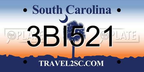 3BI521 South Carolina License Plate