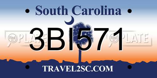 3BI571 South Carolina License Plate
