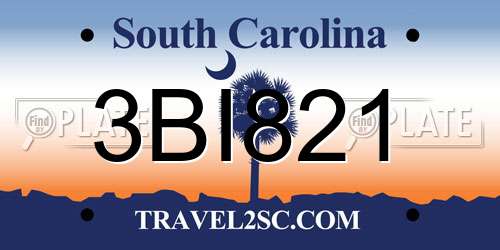 3BI821 South Carolina License Plate