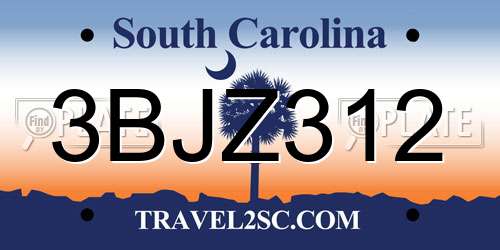 3BJZ312 South Carolina License Plate