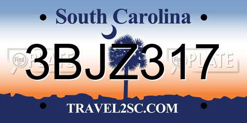 3BJZ317 South Carolina License Plate