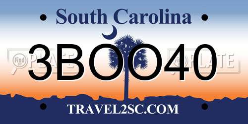 3BOO40 South Carolina License Plate