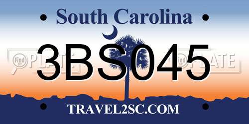 3BS045 South Carolina License Plate